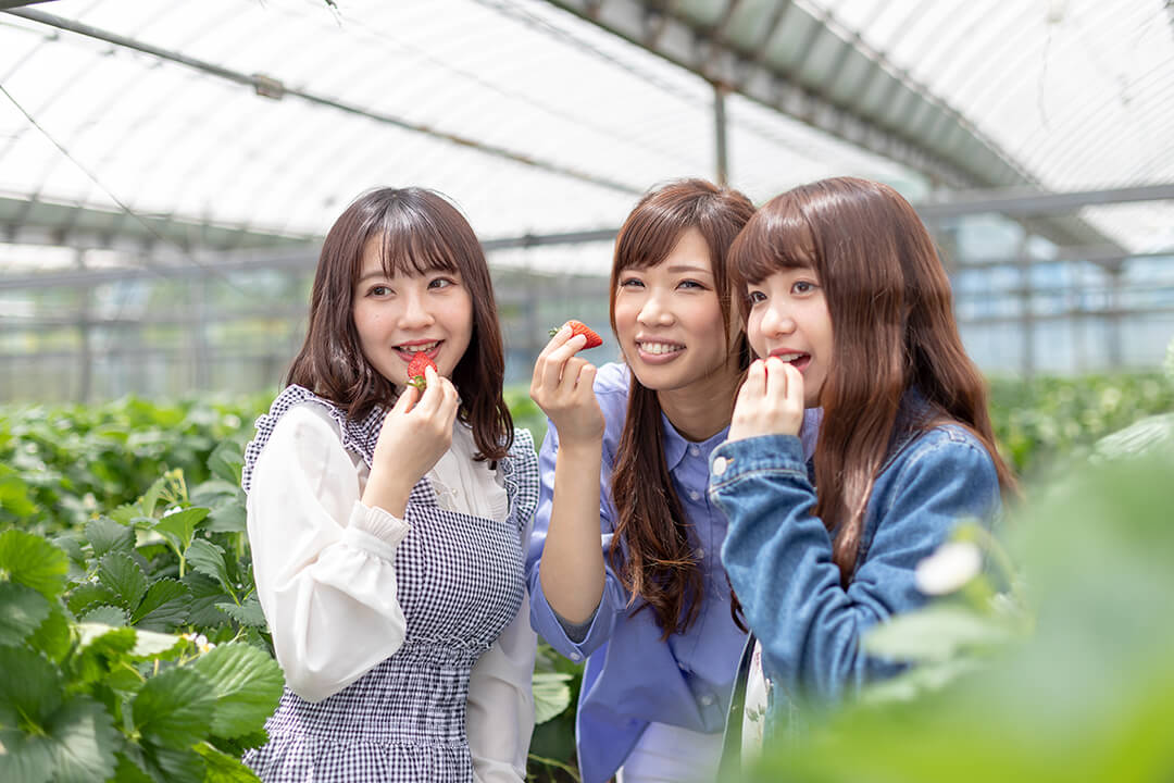 早めの予約が必須!?春休みのおすすめ教習所!