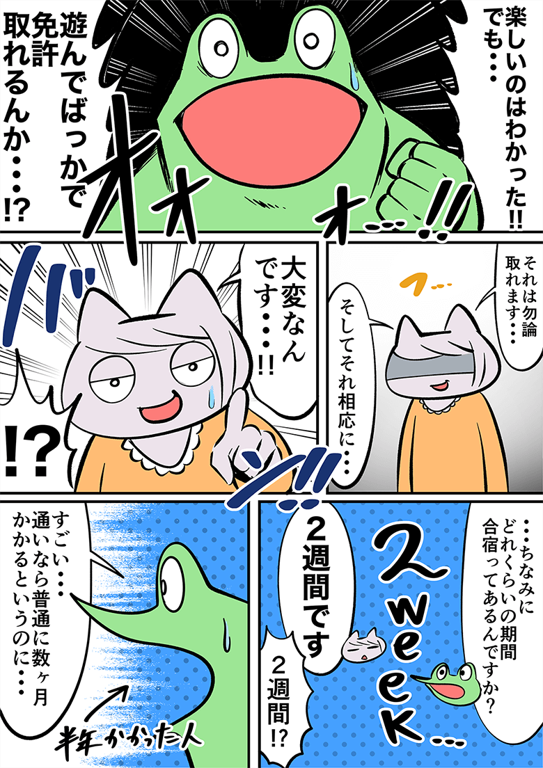 遊んでばかりで免許は取れるのかと疑問に思ったカエルDXさん。約2週間で免許を取ろうというわけですので、それ相応に大変だと知る。