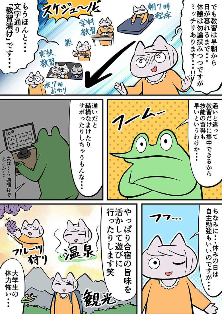 合宿免許は朝から日が暮れるまで教習がある日もあり。でも空き時間や休みのある教習所であればイベントや観光に楽しむ。大学生の体力は怖い・・・