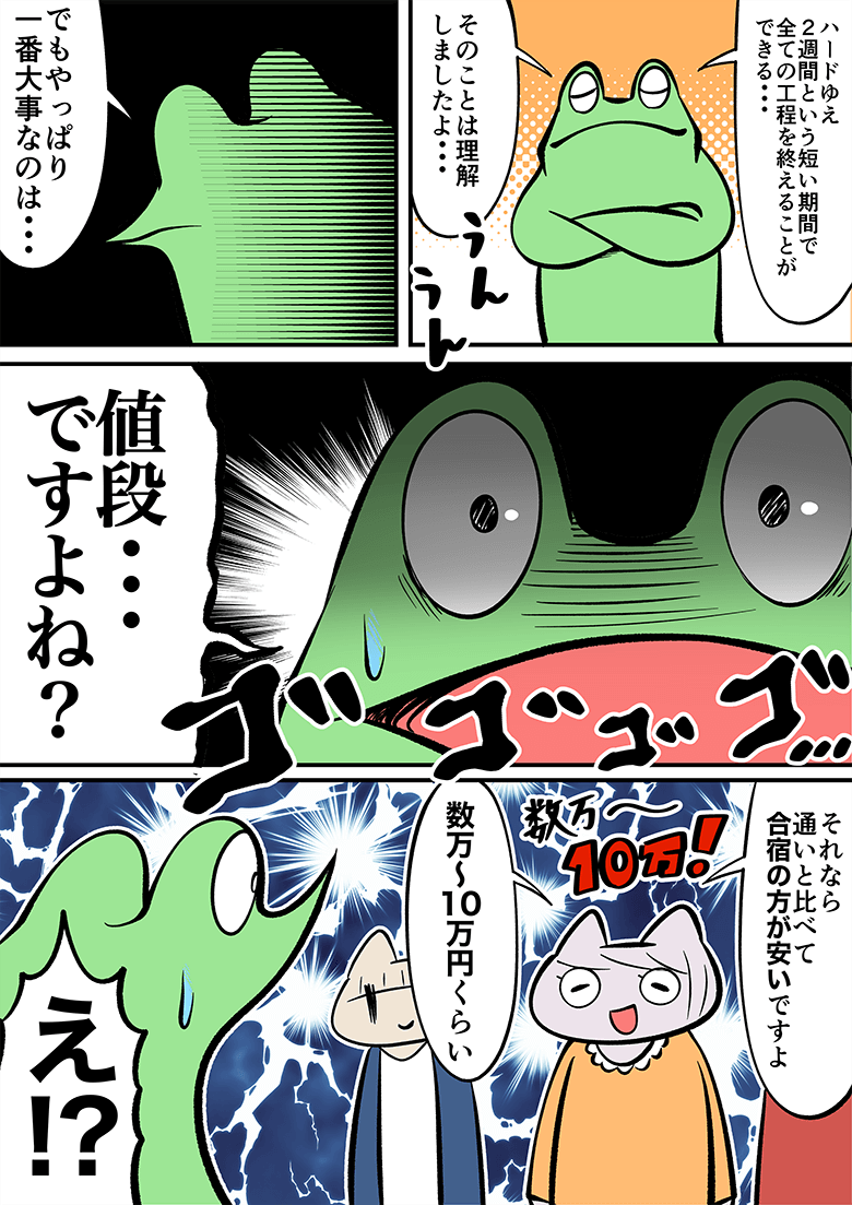 でも値段はどうなのと疑問に思う。通学に比べ数万～10万円くらい安いことを知る。