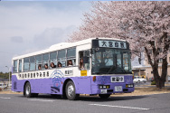 大宮自動車教習所（茨城県）