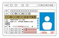 ゴールド免許とは？