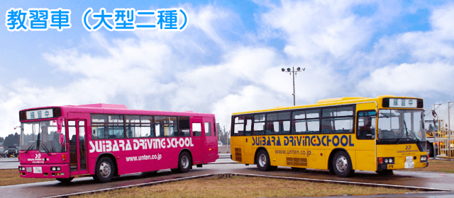 水原自動車学校の教習車両（大型二種）｜合宿免許スクール