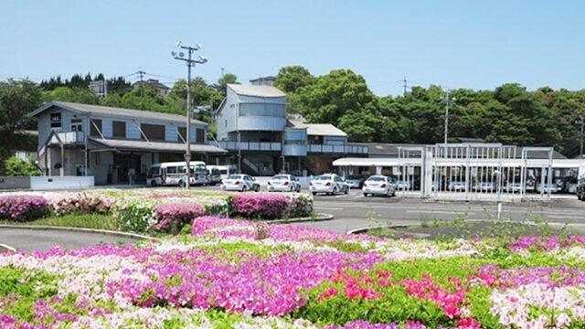 合宿免許教習所のおすすめポイント1
