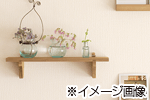 ボタニックアート体験