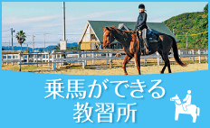 乗馬体験ができる教習所