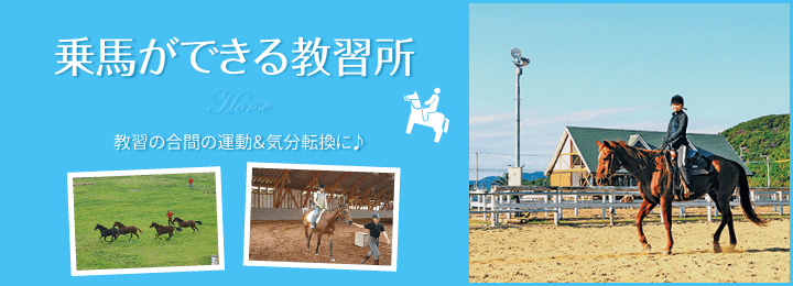 乗馬ができる教習所。教習の合間に運動&気分転換に♪|合宿免許スクール
