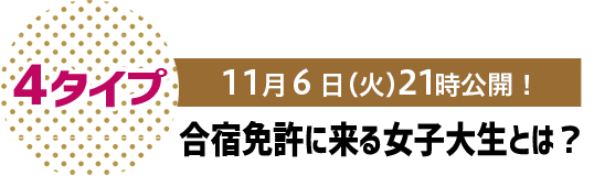 4タイプ